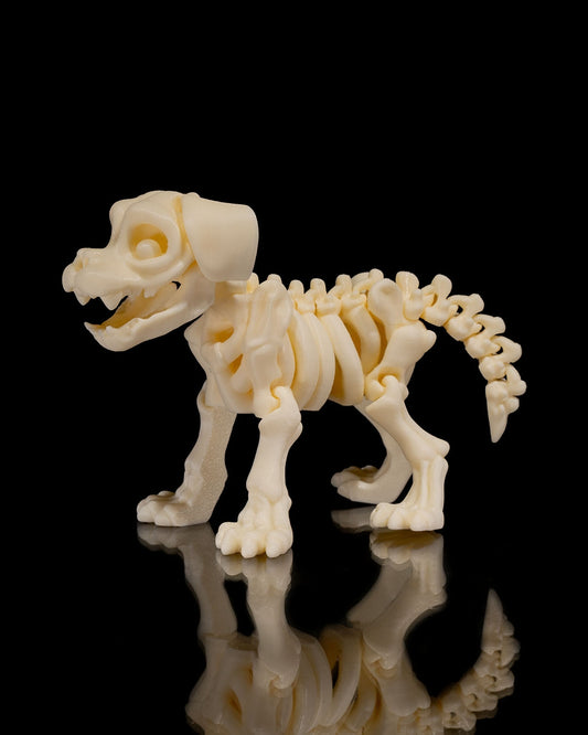 Skeleton Dog