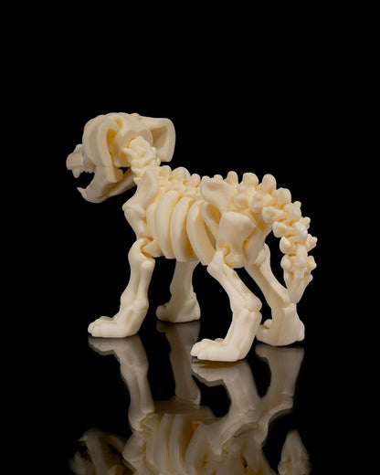 Skeleton Dog