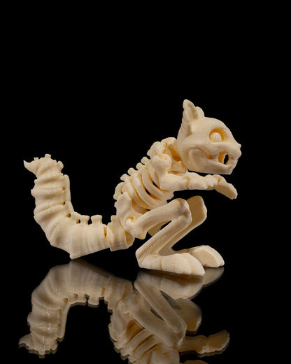 Skeleton Squirrel