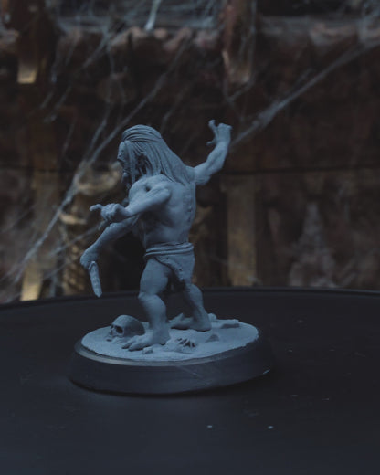 Arachitine - Night Blade Campaign 3D Resin Miniature