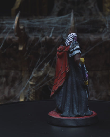 Varyth - Night Blade Campaign 3D Resin Miniature