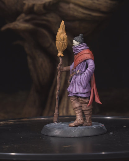 Cedric Stormweaver - Bestiarium of the Mad Scholar Campaign 3D Resin Miniature